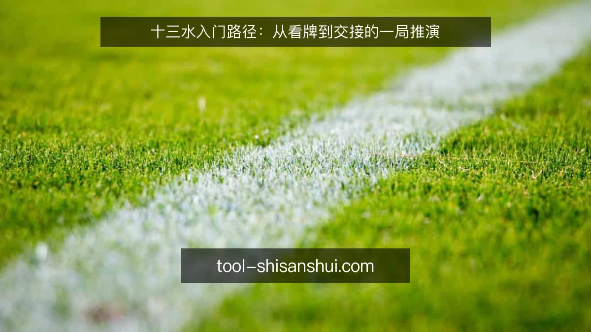 十三水入门路径:从看牌到交接的一局推演